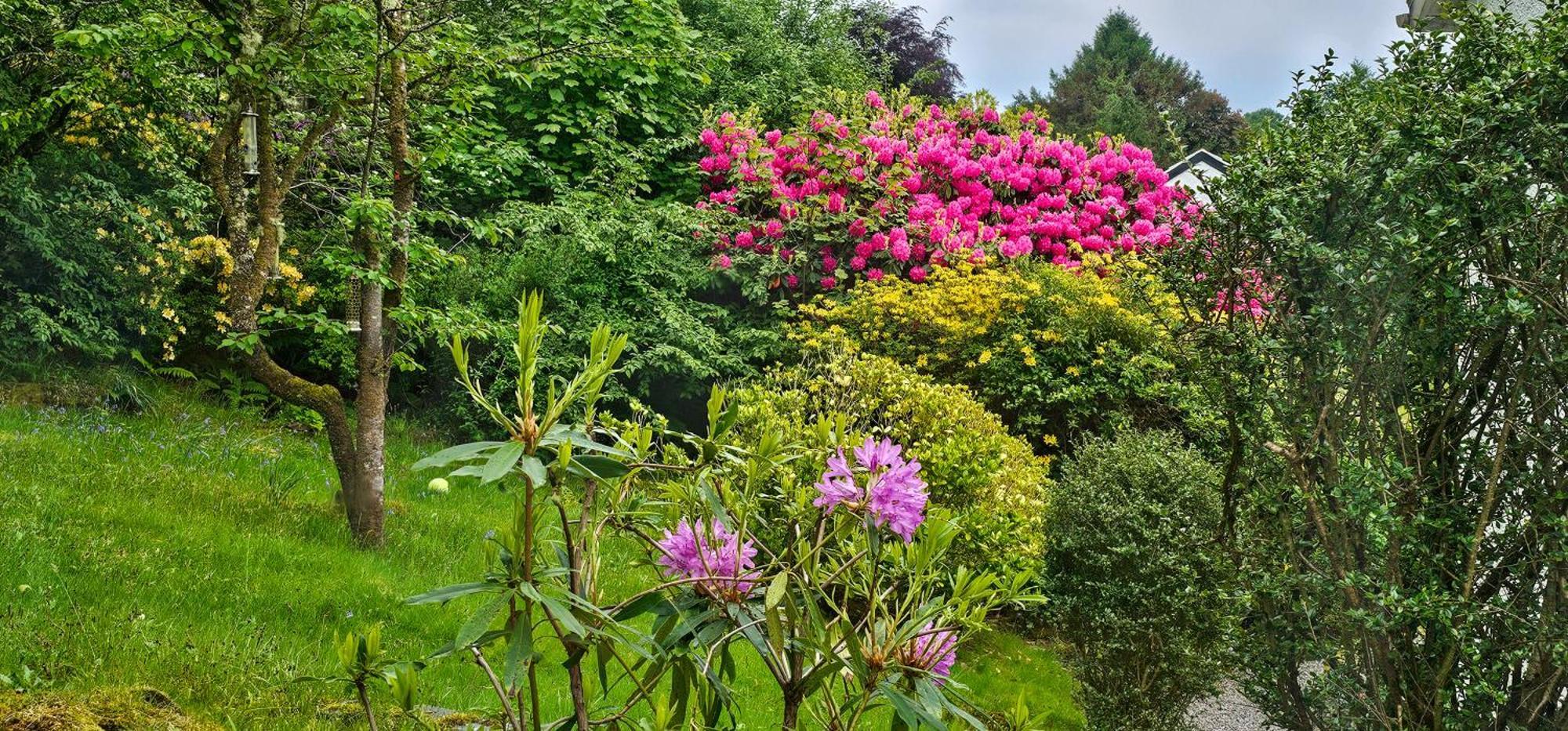 오반 Ards House B&B 외부 사진